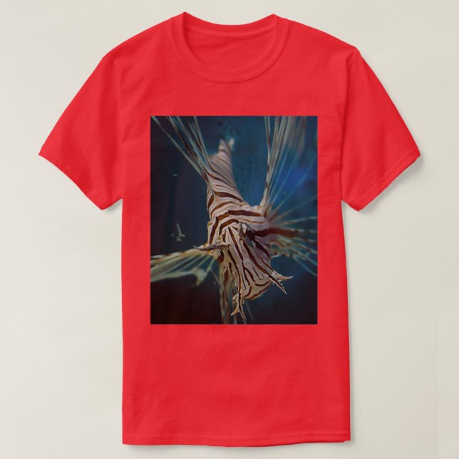 Fish in a tank (Design Front)