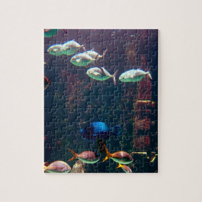Fish in Aquarium Jigsaw Puzzle (Vertical)