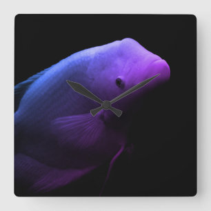 Fish in Tank - Art Photograph Square Wall Clock