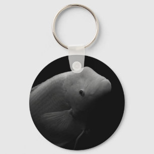 Fish in Tank - Black and White Art Photograph Keyc Keychain