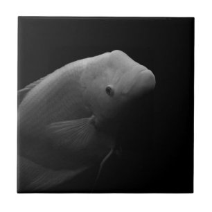 Fish in Tank - Black and White Art Photograph Tile