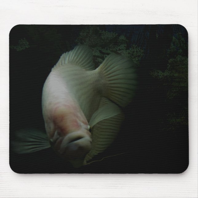 Fish in Tank Mouse Pad (Front)