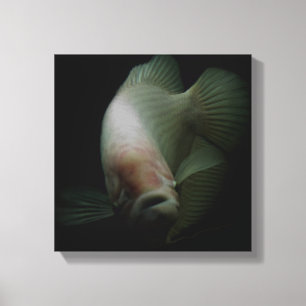 Fish in Tank Portrait Canvas Print