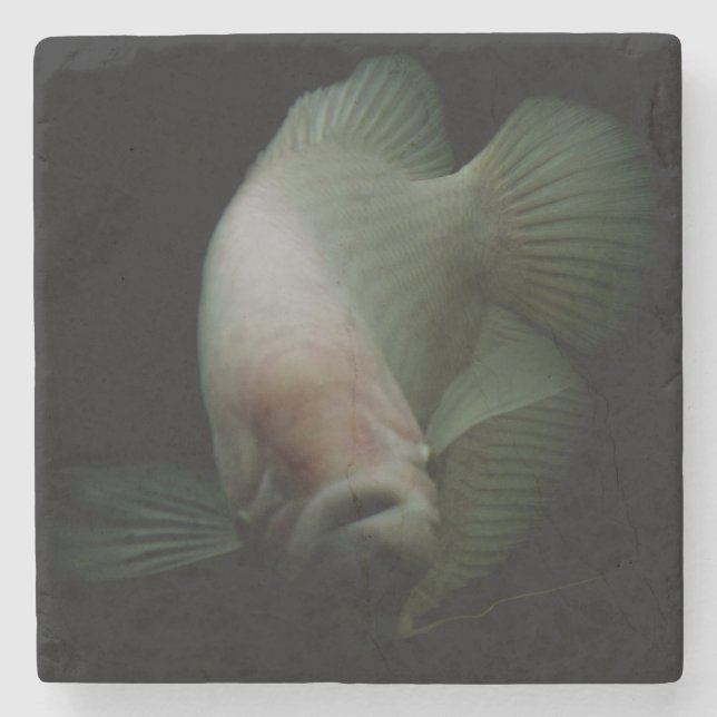 Fish in Tank Portrait Stone Coaster (Front)