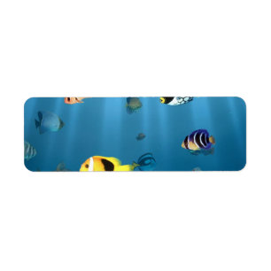 Fish In The Ocean