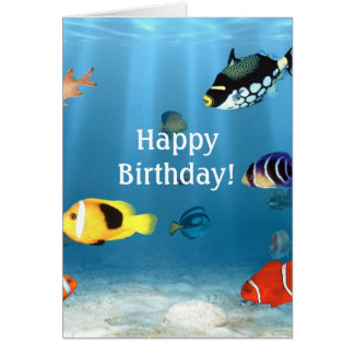 Fish In The Ocean 