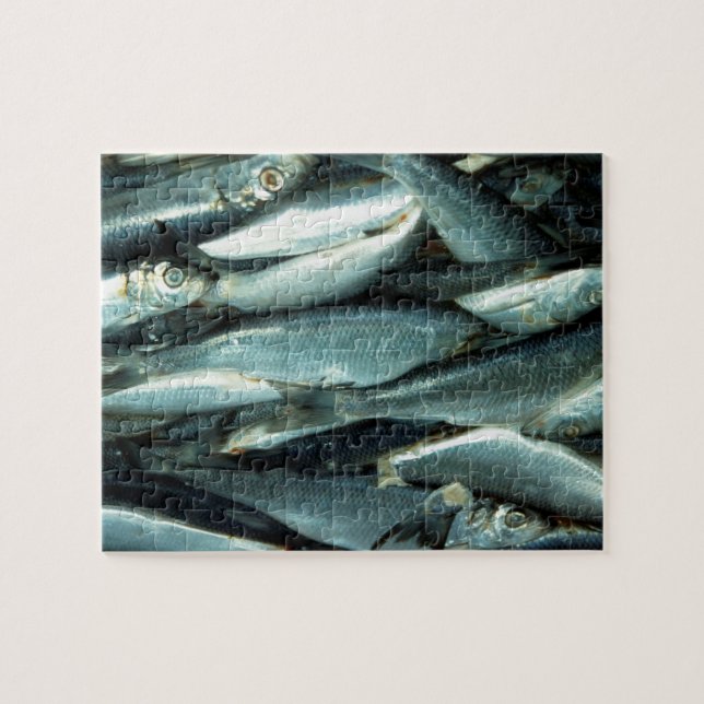 Fish Jigsaw Puzzle (Horizontal)