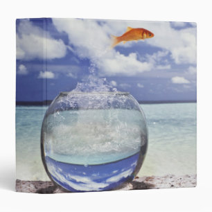 Fish jumping from fish tank binder