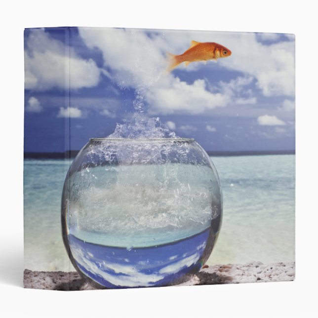 Fish jumping from fish tank binder (Front/Spine)