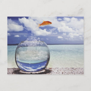 Fish jumping from fish tank postcard
