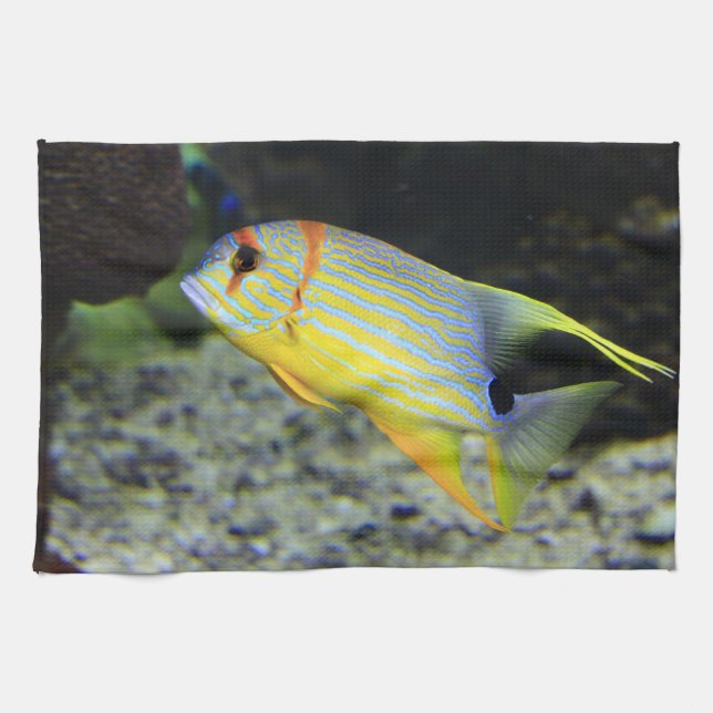 Fish Kitchen Towels (Horizontal)