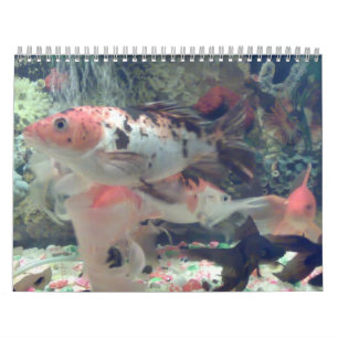Fish Koi Calendar