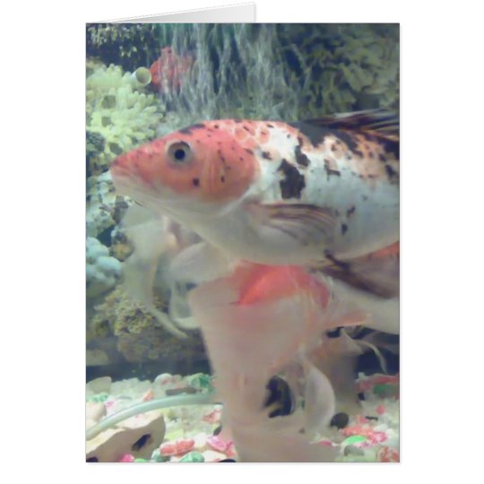 Fish Koi Card