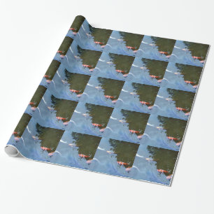 Fish, Koi Carps in pond Wrapping Paper