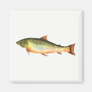 Fish Magnet