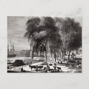 Fish Market, Paramribo Postcard