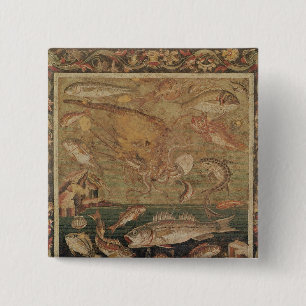 Fish, Molluscs and Crustacea 2 Inch Square Button
