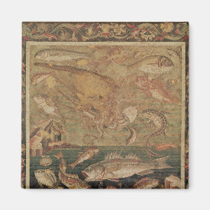 Fish, Molluscs and Crustacea Magnet