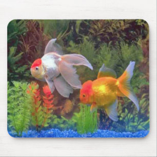 Fish Mousepad