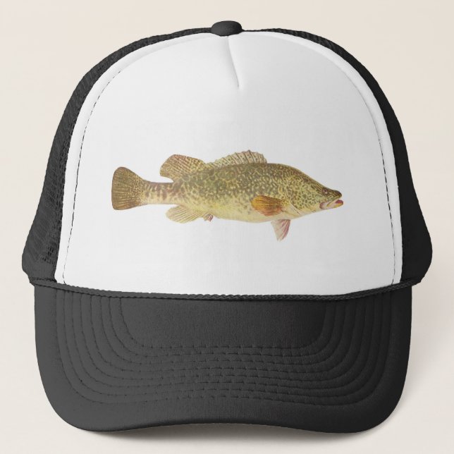 Fish - Murray Cod - Maccullochella macquariensis Trucker Hat (Front)