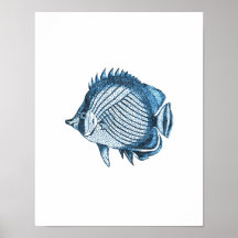 Fish nautical coastal ocean beach sea blue