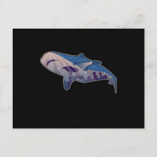 Fish Ocean Design Whale Swimming Seal Fun Sea Gift Postcard
