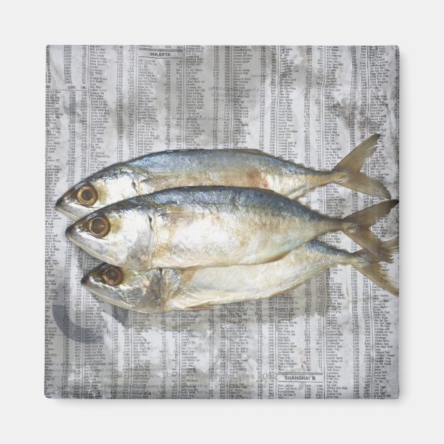 Fish on financial newspaper, elevated view magnet (Front)