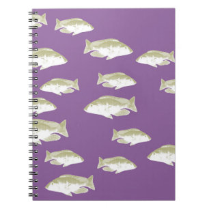 Fish on purple notebook