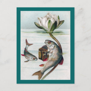 Fish Playing Accordion and Water Lily Postcard
