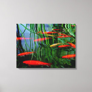 Fish Pond Canvas Print