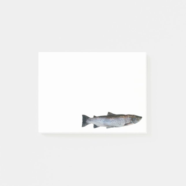 Fish Post-it Notes (Front)