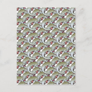 Fish Postcard