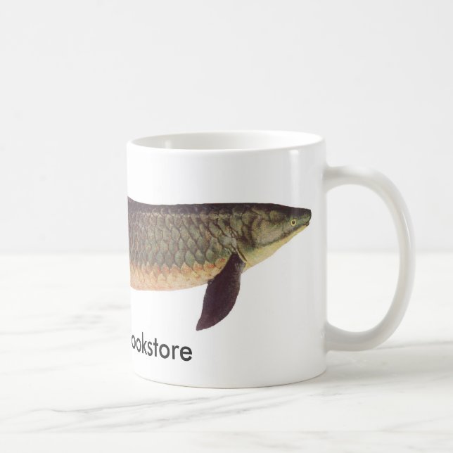 Fish - Qld. Lungfish - Neoceratodus forsteri Promo Coffee Mug (Right)