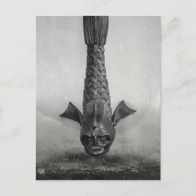 Fish Rain Spout in Savannah, Ga. Postcard (Front)