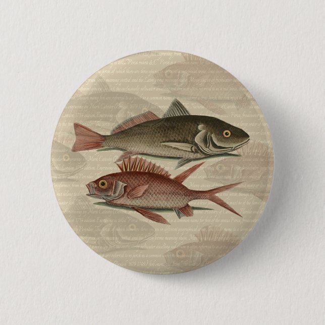 Fish Red Perch Fisherman Art 2 Inch Round Button (Front)