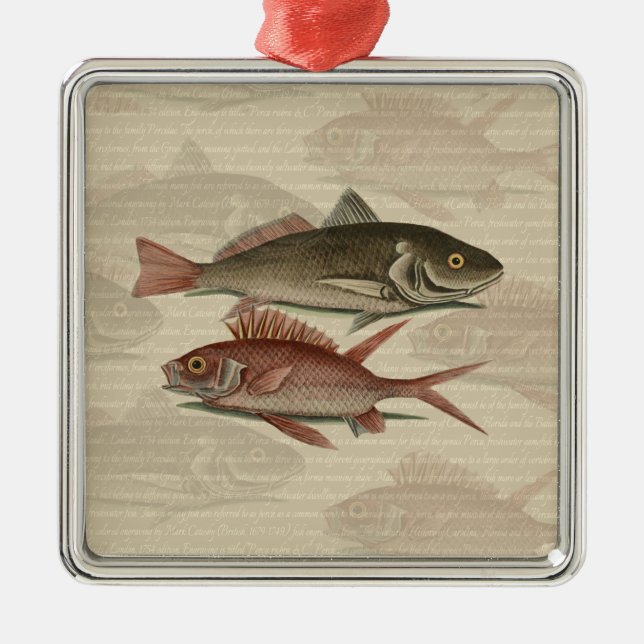 Fish Red Perch Fisherman Art Metal Ornament (Front)
