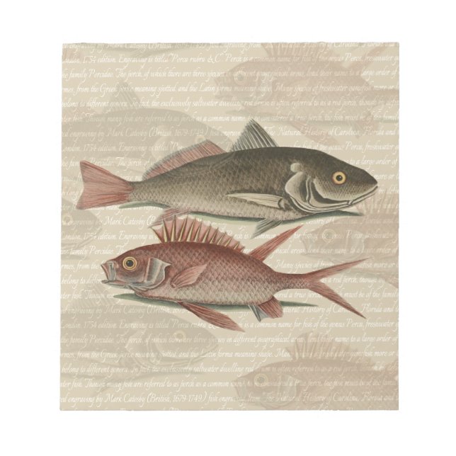 Fish Red Perch Fisherman Art Notepad (Front)