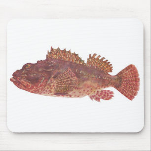 Fish - Red Rock Cod - Scorpaena cardinalis Mouse Pad