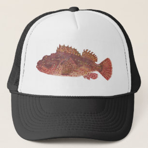 Fish - Red Rock Cod - Scorpaena cardinalis Trucker Hat