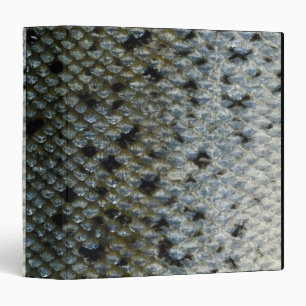 Fish Scales 2 Binder