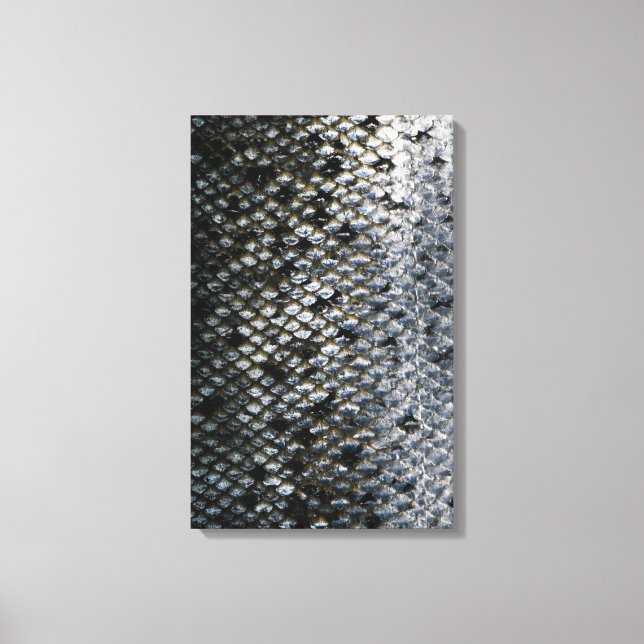 Fish Scales Canvas Print (Front)