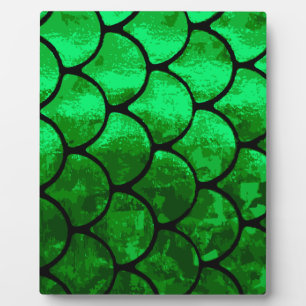 fish scales plaque