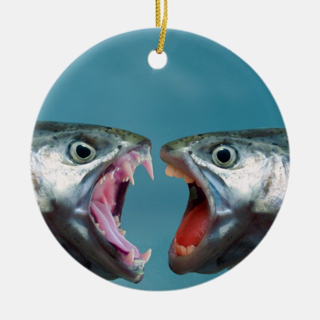 Fish Screaming at Each Other in a Yelling Match Ceramic Ornament (Front)