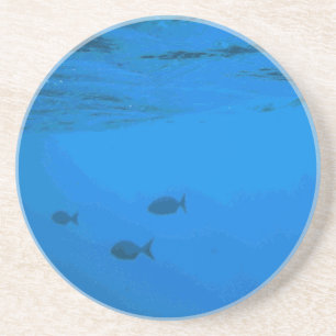 fish Series---Fish under the surgace coaster