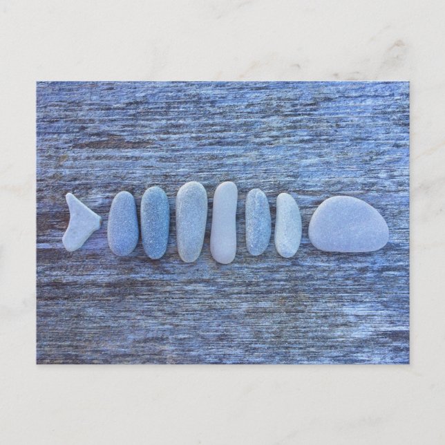 Fish Shaped Rock Art  Postcard (Front)