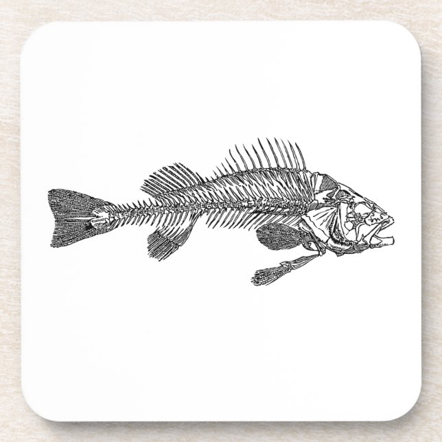 Fish skeleton coaster (Front)