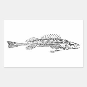 Fish Skeleton Logo Sticker
