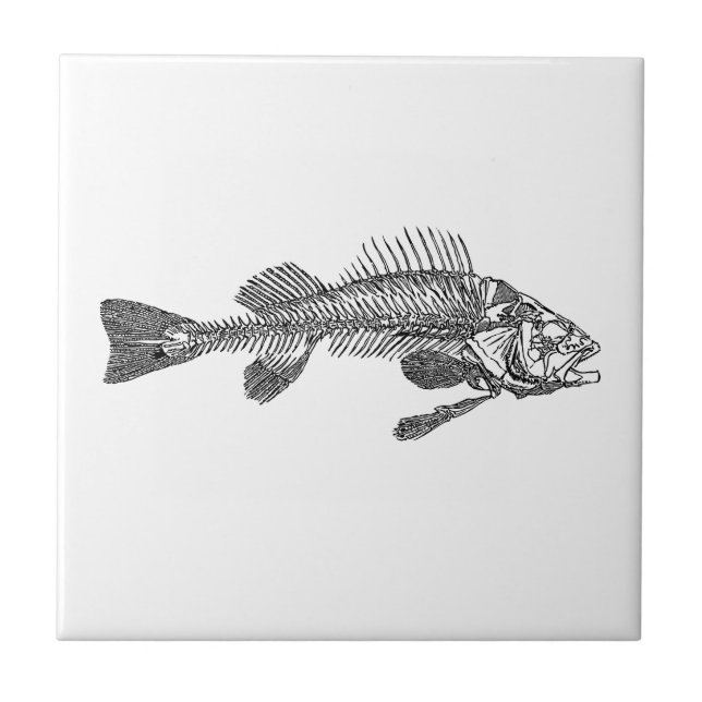 Fish skeleton tile (Front)
