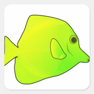 Fish Square Sticker