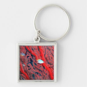 Fish swimming in coral keychain
